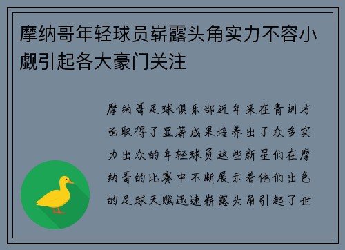 摩纳哥年轻球员崭露头角实力不容小觑引起各大豪门关注
